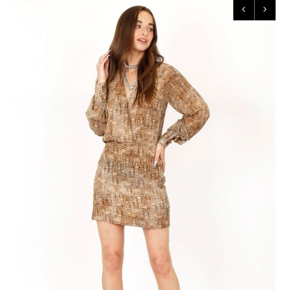 Alexis The Dula Leopard Print Mini Dress XS - Picture 3 of 10